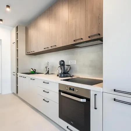 Apartment Spring Stylish Pipera *