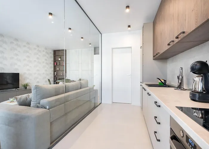 Spring Stylish Pipera Apartament